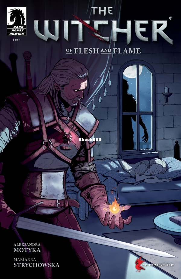 Witcher - Of Flesh and Flame 001-000.jpg