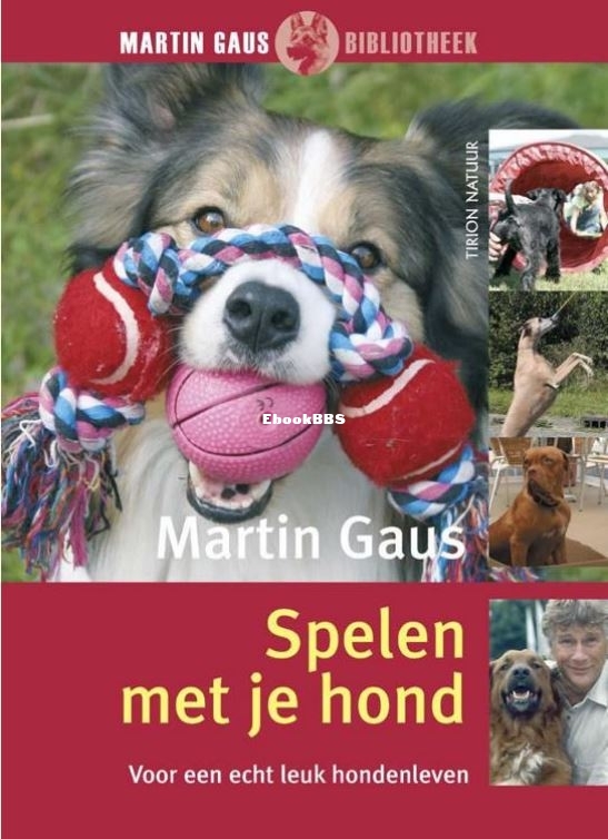spelen.JPG