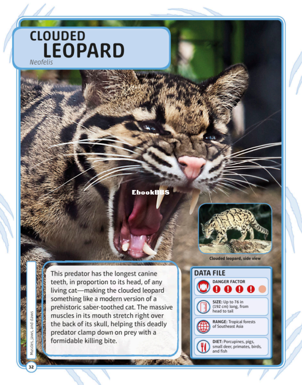dk-children-nature-s-deadliest-creatures-visual-encyclopedia-pdf - 34.png