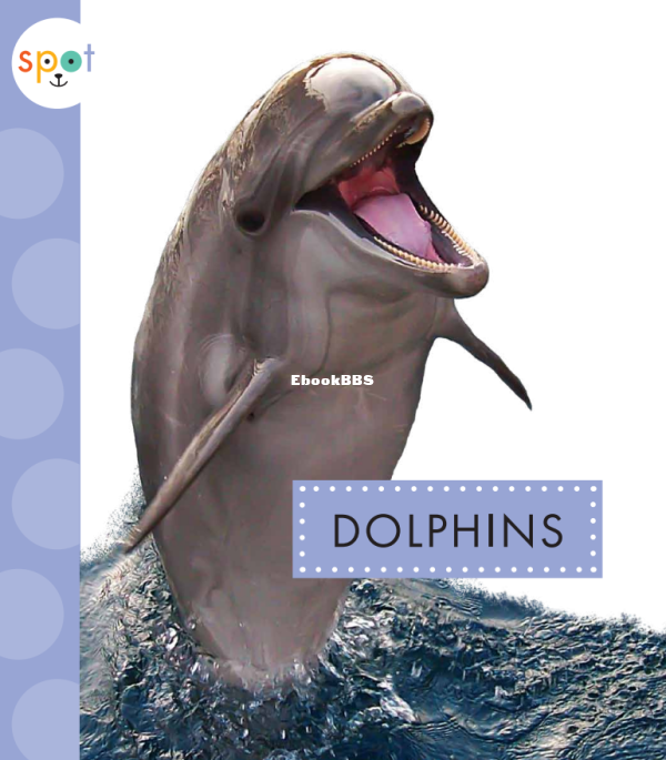 Dolphins (Spot Ocean Animals) - 1.png