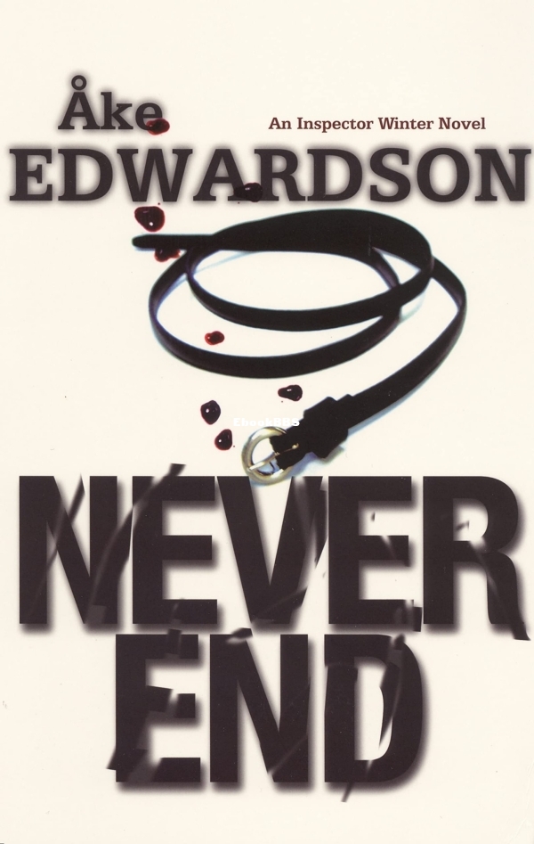 Never End - Åke Edwardson.jpg