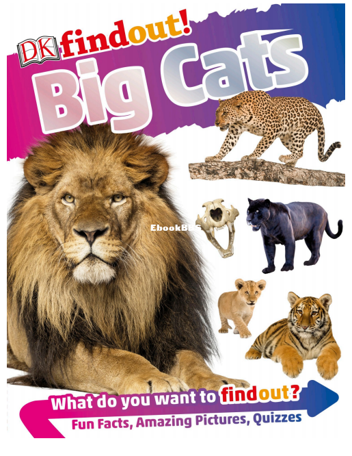 DK Findout! Big Cats - 1.png
