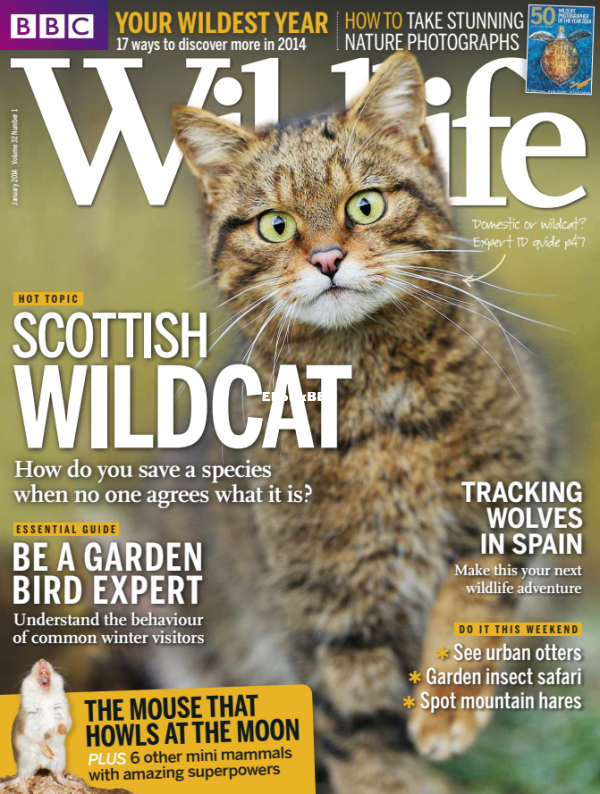 BBC Wildlife 2014 01 - 1.png