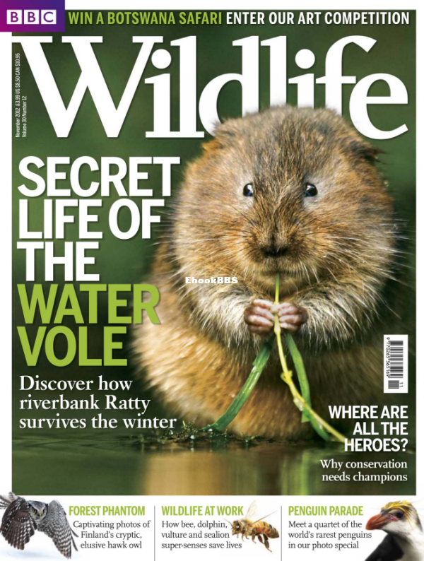 BBC Wildlife 12.2012 - 1.png