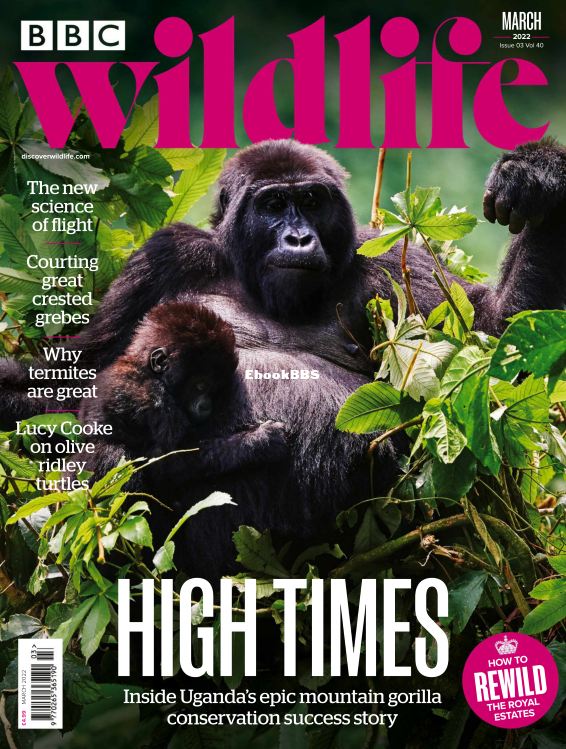 BBC Wildlife - 03.2022 - 1.png