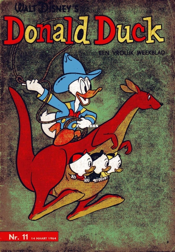 dd11001.jpg
