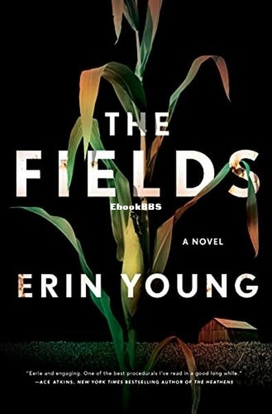 The Fields.jpg