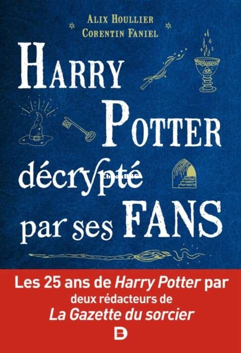Harry Potter decrypte par ses fans - Alix Houllier-Corentin Faniel.jpg