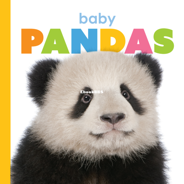Baby Pandas - 1.png