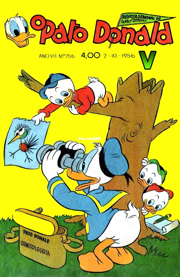 pd256_00.jpg