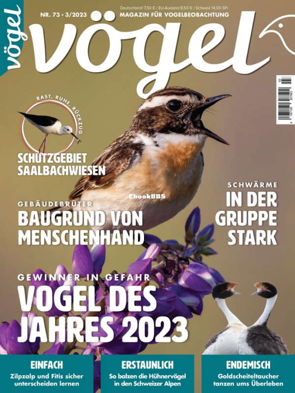 VOGEL_3.23 - 1.png