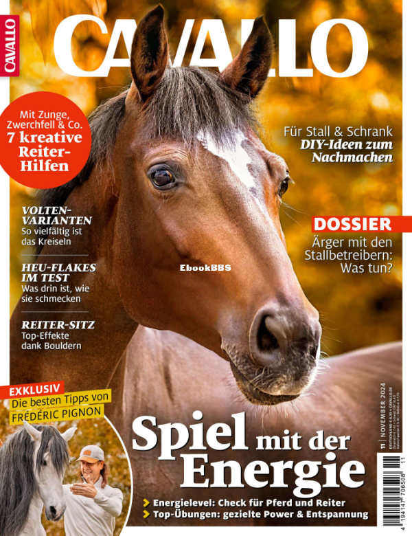 Cavallo_11.24 - 1.png