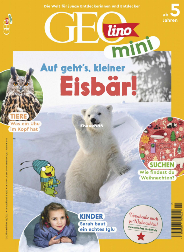GEOmini_13.21 - 1.png