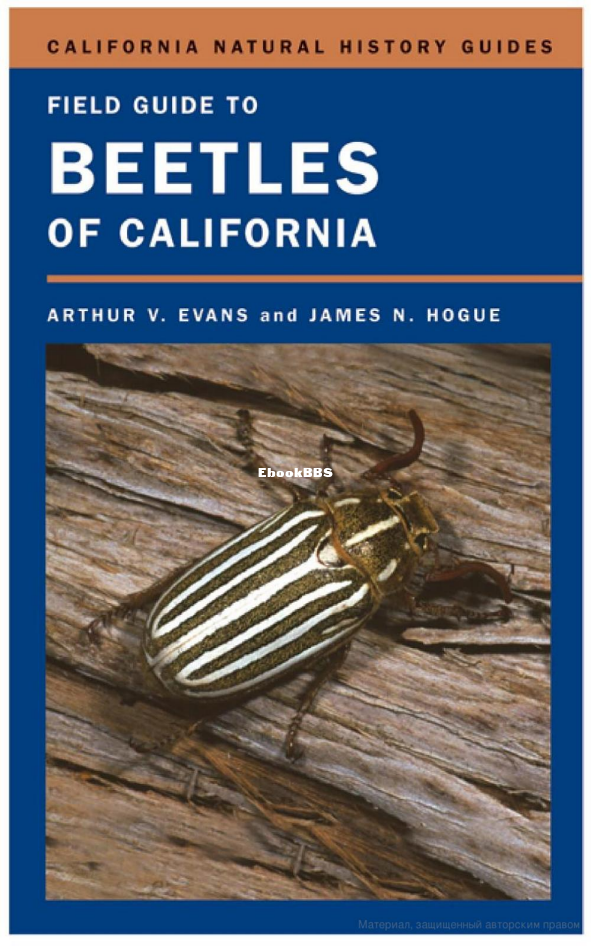 Field Guide to Beetles of California (California Natural History Guides) (Arthur.png