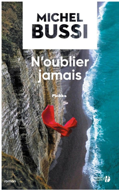 Noublier jamais (Bussi Michel) (Z-Library).png