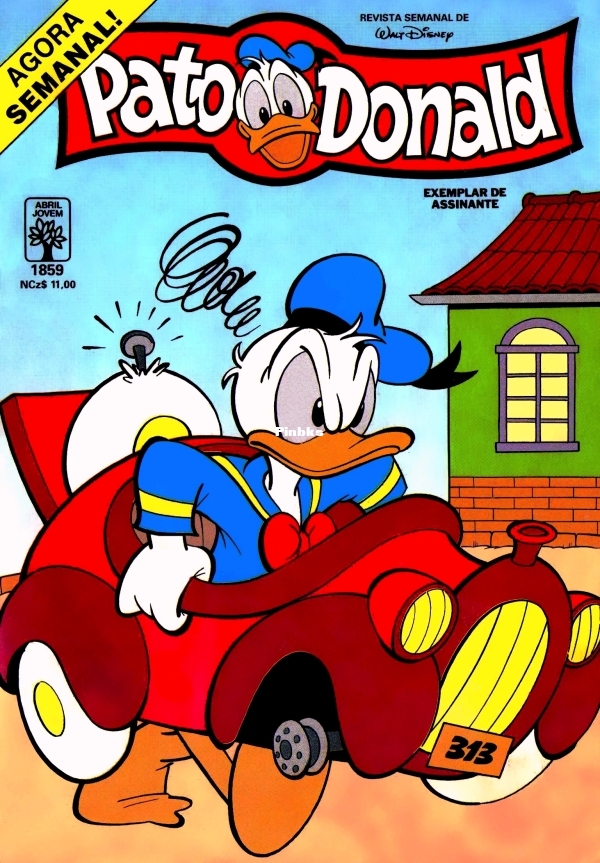 PATO DONALD 1859 001.jpg