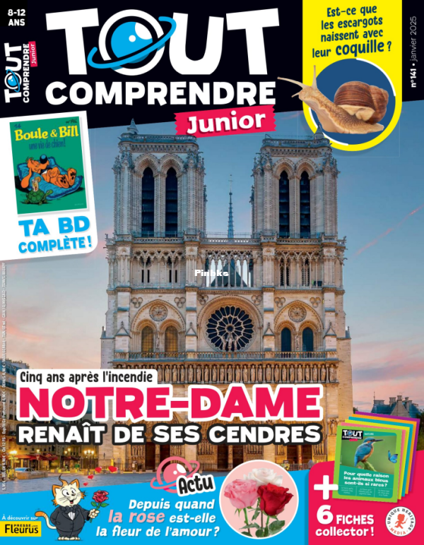 Tout_Comprendre_Junior_2025_01 - 1.png
