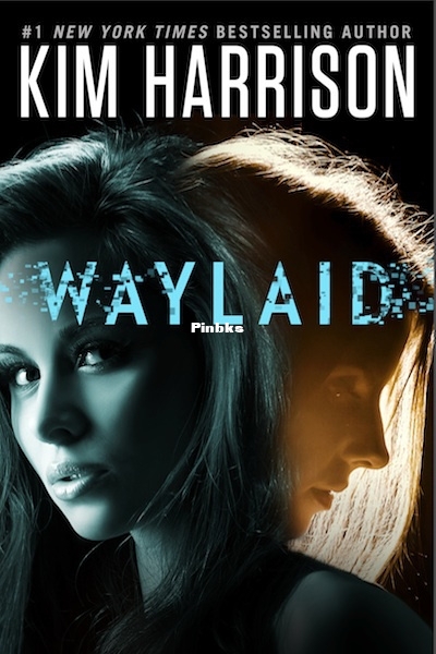 Waylaid.jpg