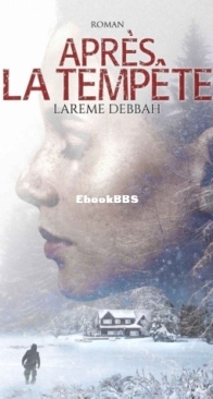 Après La Tempête - Larème Debbah - French