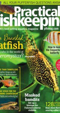 Practical Fishkeeping Magazine - 2019-09 - English