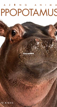 Hippopotamuses - Amazing Animals - Kate Riggs - English