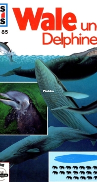 Wale und Delphine - Was Ist Was 085 - Petra Deimer - German