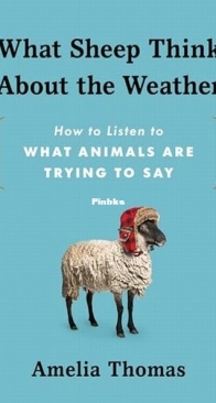 What Sheep Think About the Weather - Amelia Thomas - English