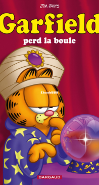 Garfield 61 - Perd la Boule - Dargaud 2015 - French
