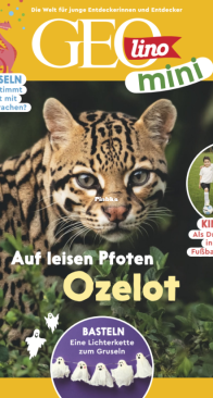GEOmini 11.2025 - German