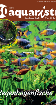 Aquaristik 04.2023 - German