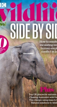BBC Wildlife 2023 11 - English