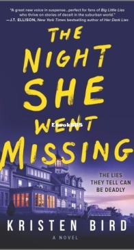 The Night She Went Missing - Kristen Bird - English