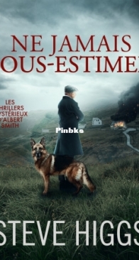 Ne jamais Sous-Estimer - Les Thrillers Mystérieux d'Albert Smith Tome 3 - Steve Higgs - French