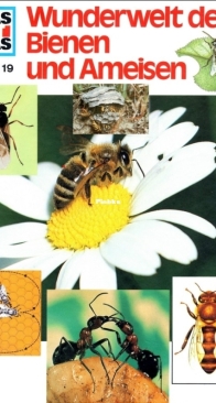 Wunderwelt der Bienen und Ameisen - Was Ist Was 019 - Alexandra Rigos, Ronald N. Rood - German