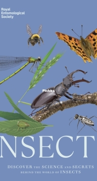 Insects - Discover the Science and Secrets Behind the World of Insects - DK - English