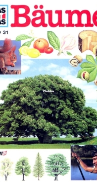 Bäume - Was Ist Was 031 - Geoffrey Coe - German